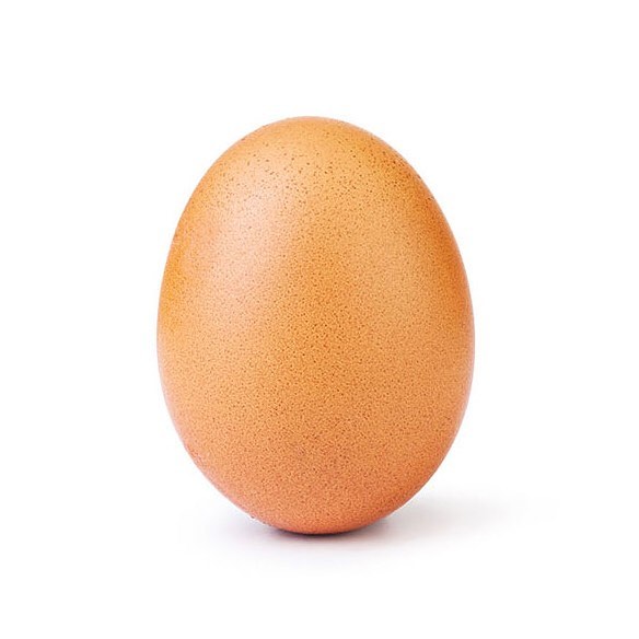 The world record egg