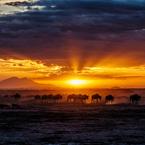 AufReisenHolderCollection